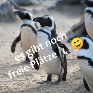Eltern-Kind-Gruppe Pinguine (geb. Feb. - Sep. 24)