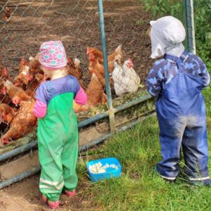 Besondere Eingewöhnungen