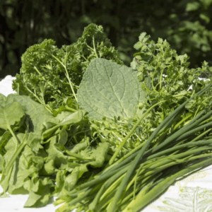 Kochinsel - Grüne Soße