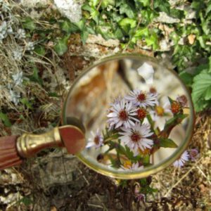 Forschen: Erde, Wasser, Luft, Feuer